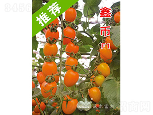 �Ύ�F1���_�����M(j��n)��ɫ�S��С���ѣ�-���ѷN��-�֠���˹