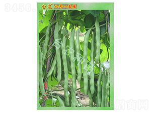 �_�r(n��ng)8̖��-�˶��N��-�_�r(n��ng)�N��