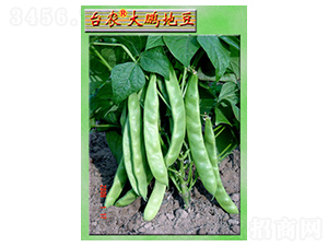 ���i�ض�-�ļ����N��-�_�r(n��ng)�N��