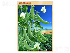 26̖�㶹-�㶹�N��-�_�r(n��ng)�N��