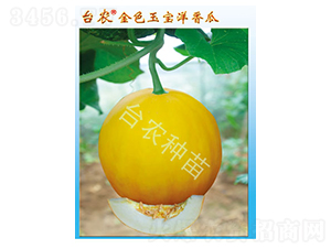 �_�r(n��ng)��ɫ�����-��ϷN��-�_�r(n��ng)�N��