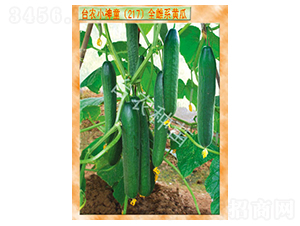 С��ͯ217ȫ��ϵ�S��-�S�ϷN��-�_(t��i)�r(n��ng)�N��