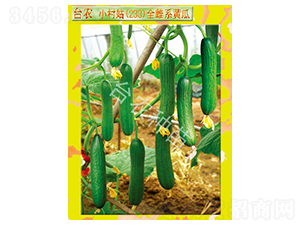 �_(t��i)�r(n��ng)С���233ȫ���S��-�S�ϷN��-�_(t��i)�r(n��ng)�N��