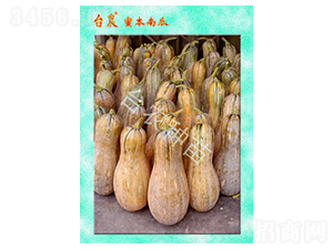 �_�r(n��ng)�ܱ��Ϲ�-�ϹϷN��-�_�r(n��ng)�N��