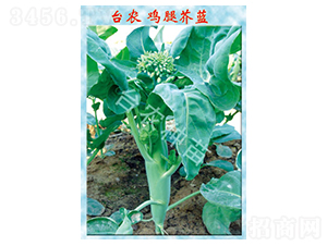 �u�Ƚ��{-���{�N��-�_�r(n��ng)�N��