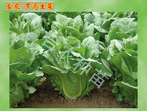 �_�R����-���˷N��-�_�r�N��