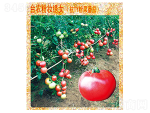 �ۊy�CŮ����-���ѷN��-�_�r(n��ng)�N��