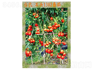 �_�r(n��ng)ʯ�^1302����-���ѷN��-�_�r(n��ng)�N��