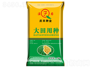 大田用種-大豆種子-慶豐種業(yè)
