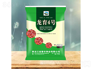 ����4̖-���׷N��-�u�S