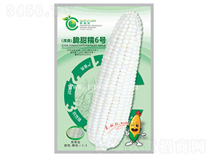 ����Ŵ6̖-���׷N��-�𸣈@�r(n��ng)�I(y��)