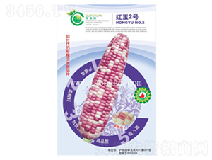 �t��2̖-���׷N��-�𸣈@�r(n��ng)�I(y��)