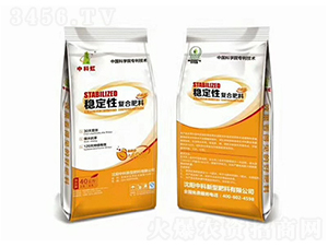 ��(w��n)���ԏͺϷ���-�пƺ�-�пƷ���