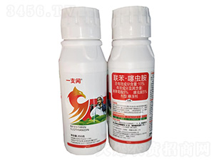 10%(li��n)�������x���Ҹ���-һ֧�e-�G������