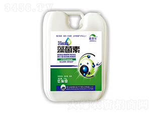 �����-������-����˹