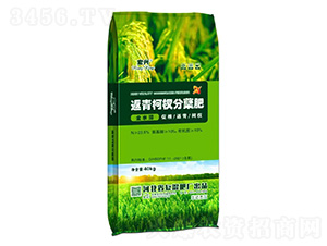 �����(qu��n)���Y��-���d