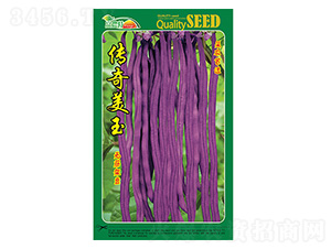 �o��ܶ�-��������-����