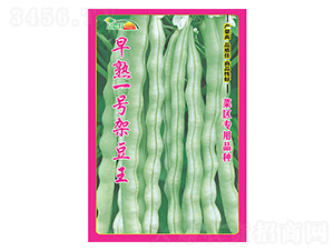 ����һ̖�ܶ���-����