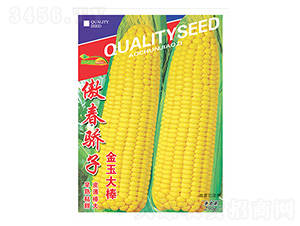 �������-������-����