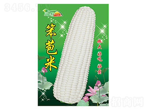 ���׷N��-������-����