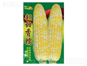 ���׷N��-������Ŵ-����