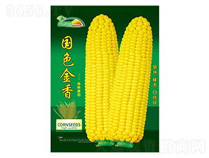 ���׷N��-��ɫ����-����