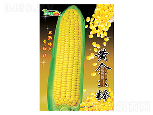 ���׷N��-�S����-����