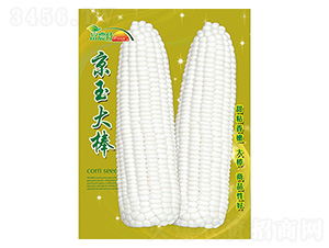 ���׷N��-������-����