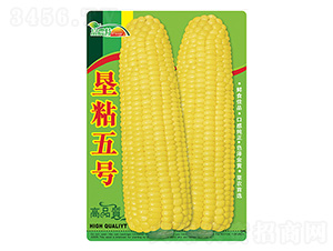 ���׷N��-��ճ��̖-����