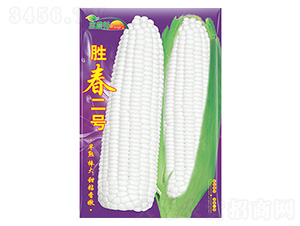 ���׷N��-�ٴ���̖-����