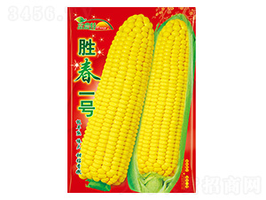 ���׷N��-�ٴ�һ̖-����