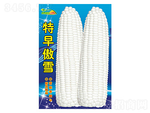 ���׷N��-�����ѩ-����