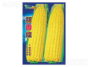 ���׷N��-����Ŵ-����