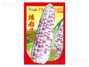 ���׷N��-�Ųʻ�Ŵ-����