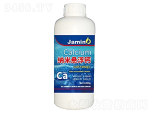 �{�בҸ��}-����Ԫ��