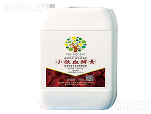 С��Ѫ����-΢�������-��ֲ��