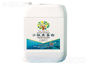 С���~����-΢�������-��ֲ��