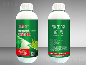 ���弃Һ-������-������