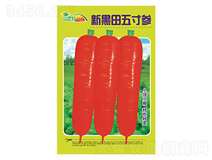 �}���N��-�º�����煢-����