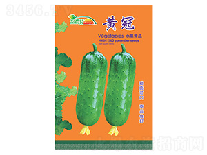 ˮ���S��-�S��-����