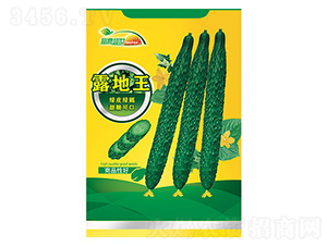 �S�ϷN��-�G����-����