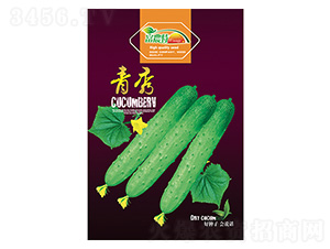 �S�ϷN��-����-����