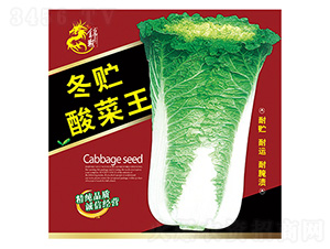 �ײ˷N��-���A�����-����