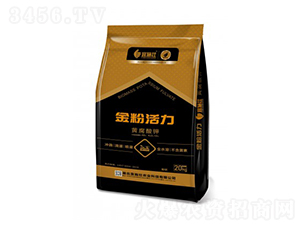 �S���������ЙC��-��ۻ���-��ʩ��