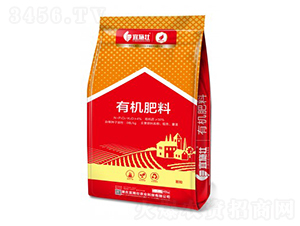 �ЙC���ϣ��w����-��ʩ��