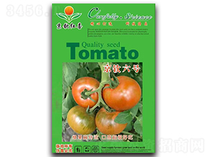 ���J��̖-���t���N��-���J�tϲ