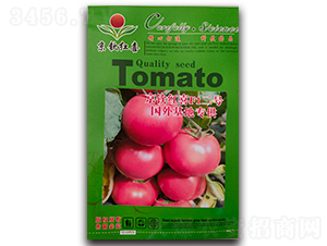 ���J�tϲF1��̖-���t���N��-���J�tϲ