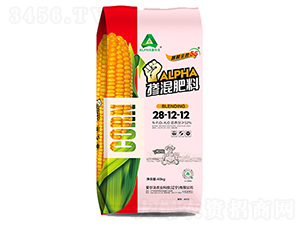 �������28-12-12-��(��i)����