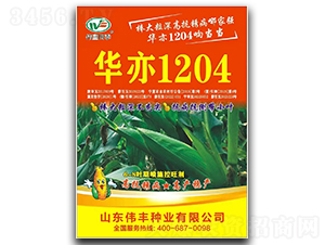 �A��1204���׷N��-���S�N�I(y��)