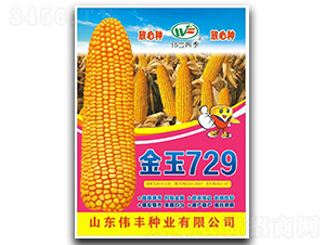 ����729-���׷N��-���S�N�I(y��)